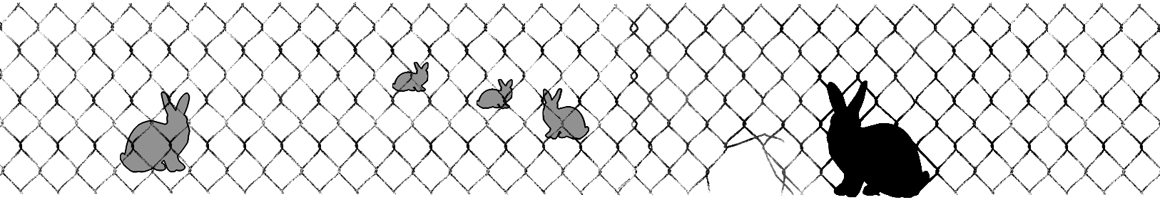 tplimg:blackrabbit:rabbitprooffence_web_08.gif