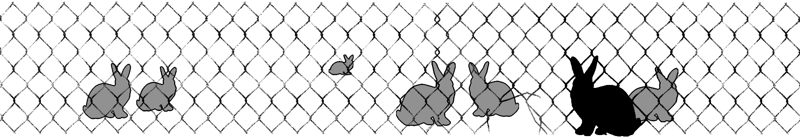 tplimg:blackrabbit:rabbitprooffence_web_15.gif